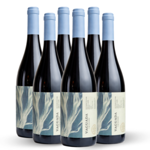 Caja de 6 botellas | Malbec | Vaguada 2024