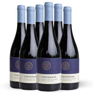 Caja de 6 botellas | Mezcla Tinta | Tintomare Icono 2024