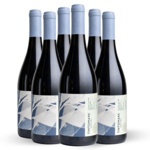 Caja de 6 botellas | Pinot Noir | Vaguada 2024