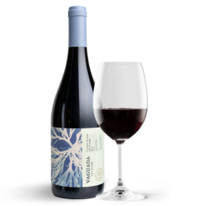 Syrah | Vaguada  2024