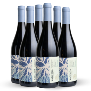 Caja de 6 botellas | Syrah | Vaguada  2024